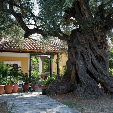 Villa Christina Kota Zakynthos Bagian luar foto